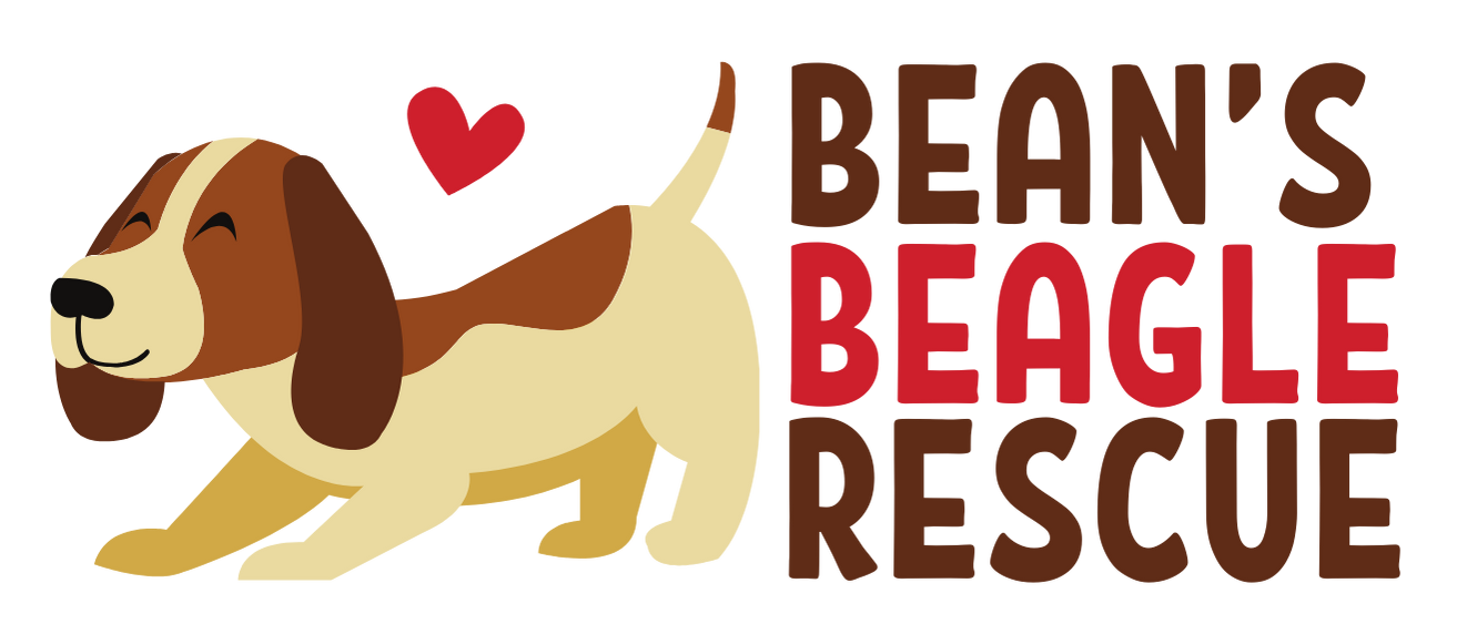 Bean's Beagles Rescue