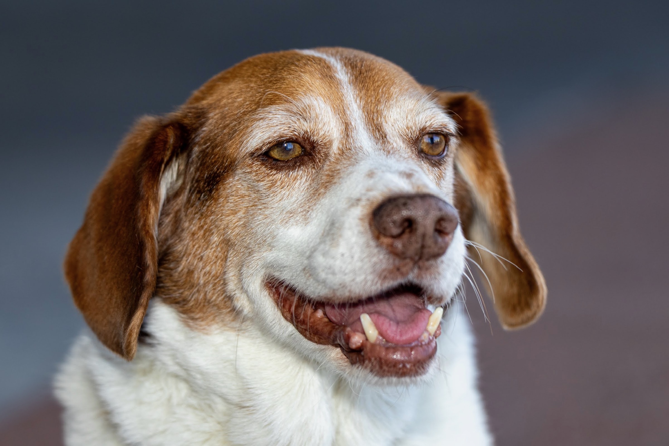 0D67A204-8161-4F27-8C35-9BC1724A7EEC