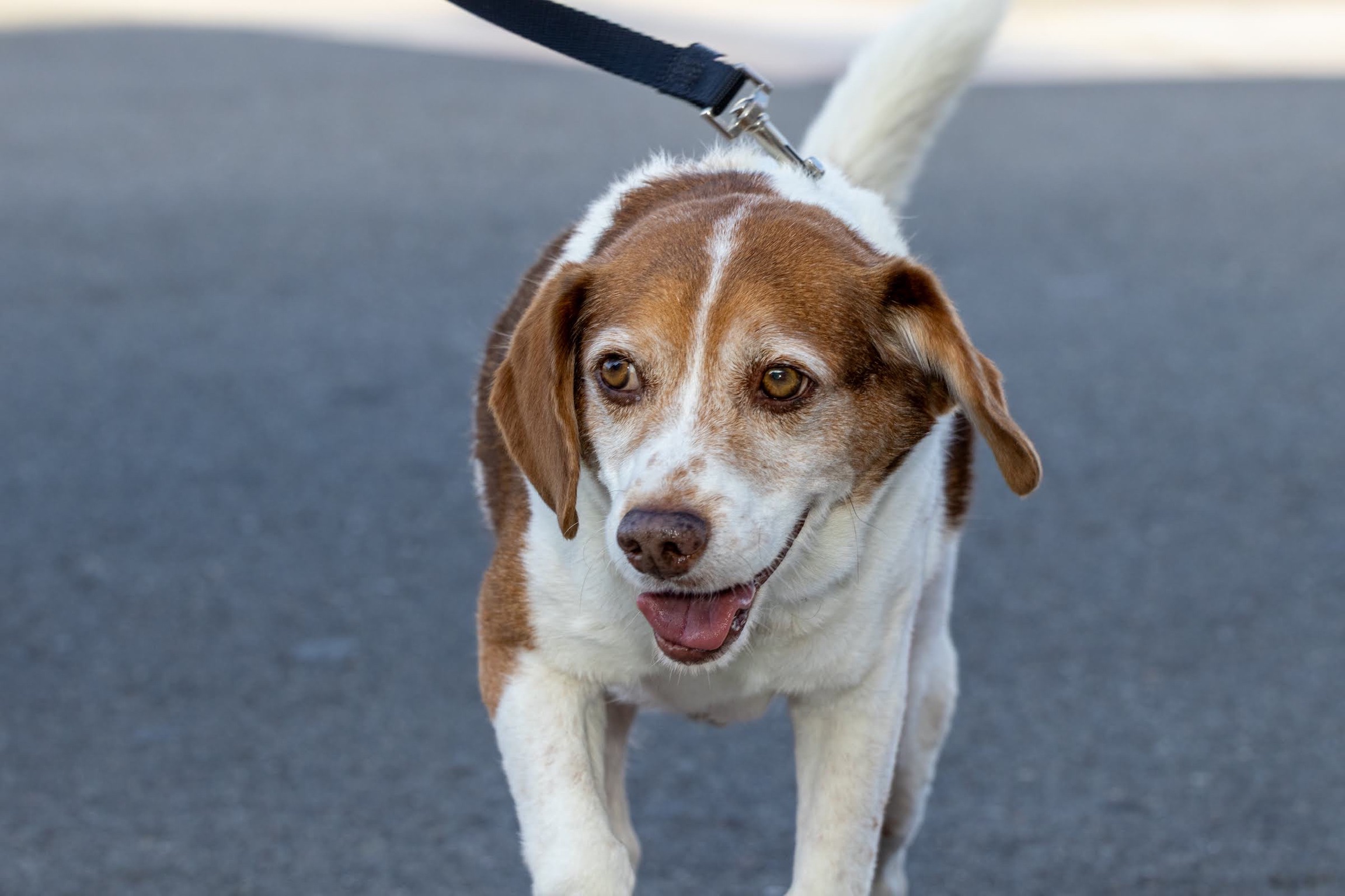 331C5900-4381-47BE-A03F-13FA4CF167E9