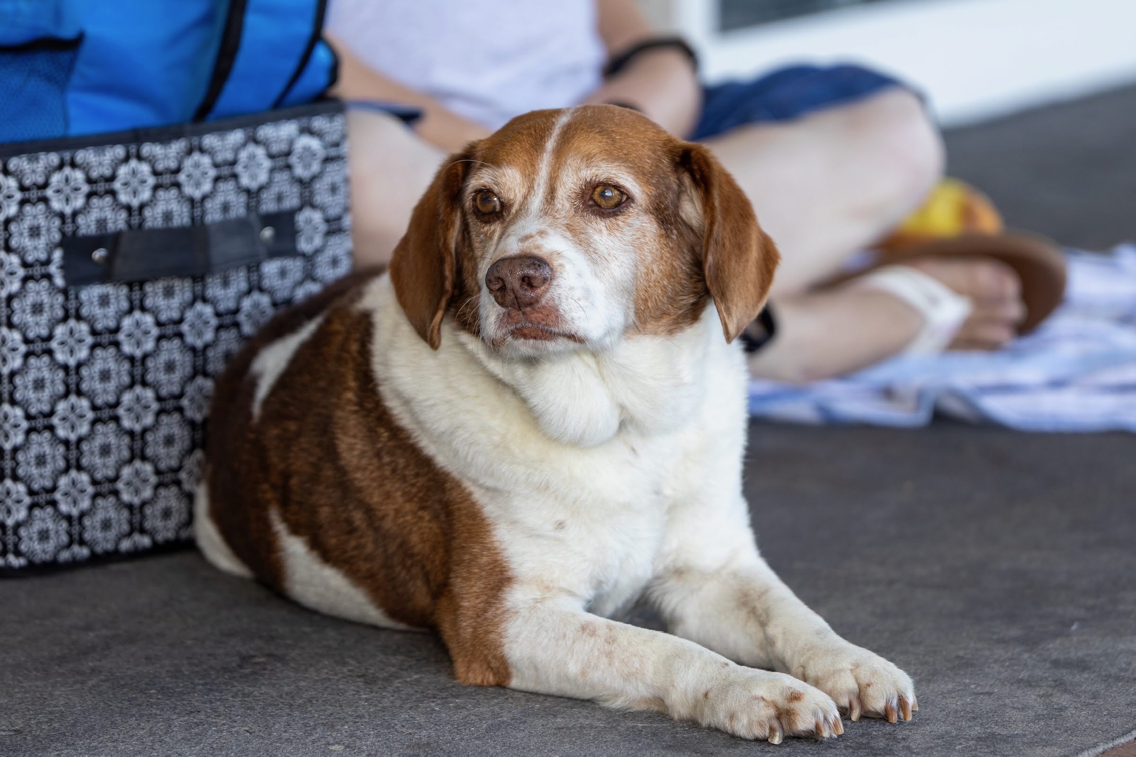 8E999C06-0C7B-4A7B-ACC5-3896F78555FB