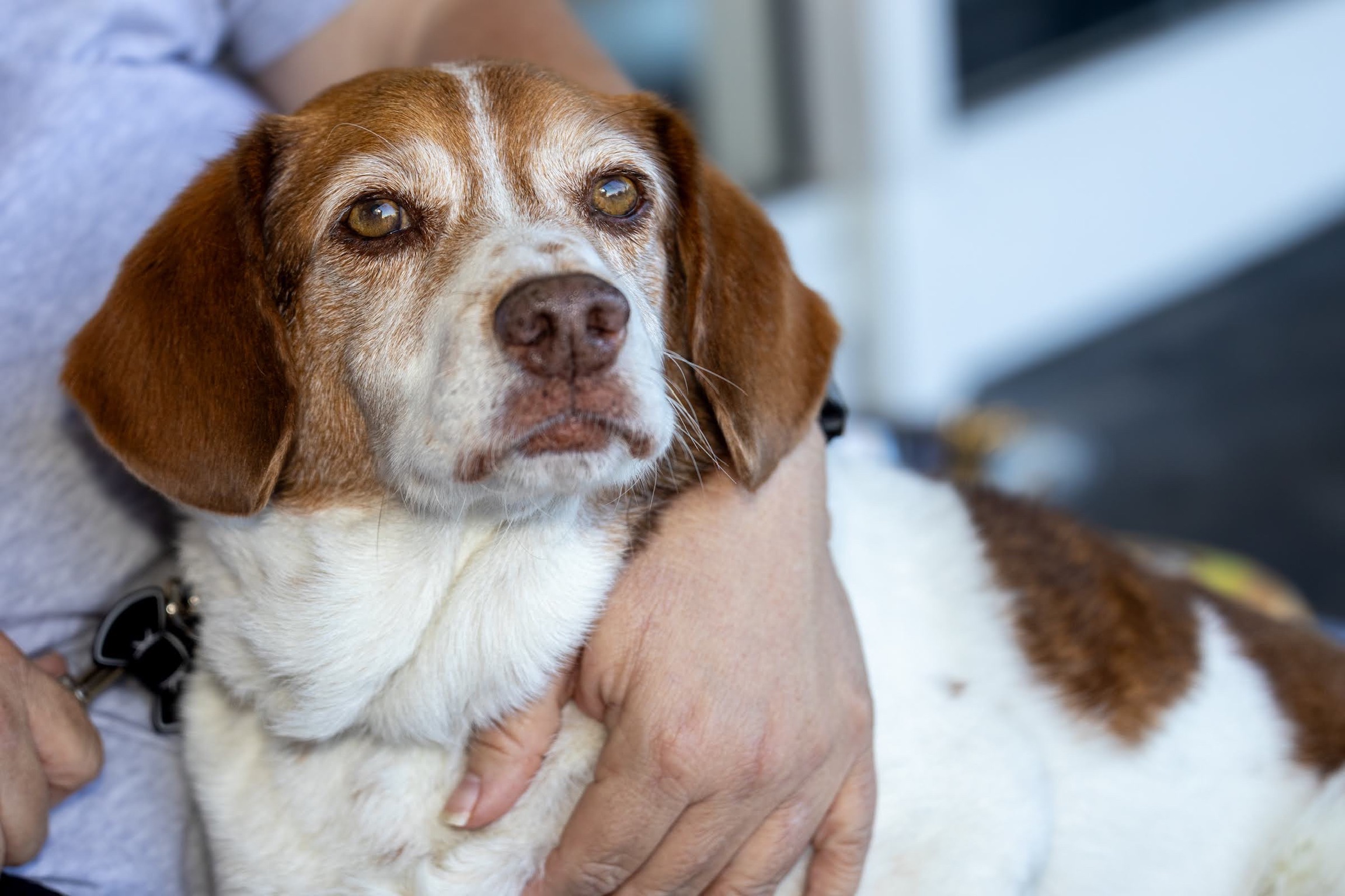 ABF5D86C-3C81-421E-A51A-61466CCF7989