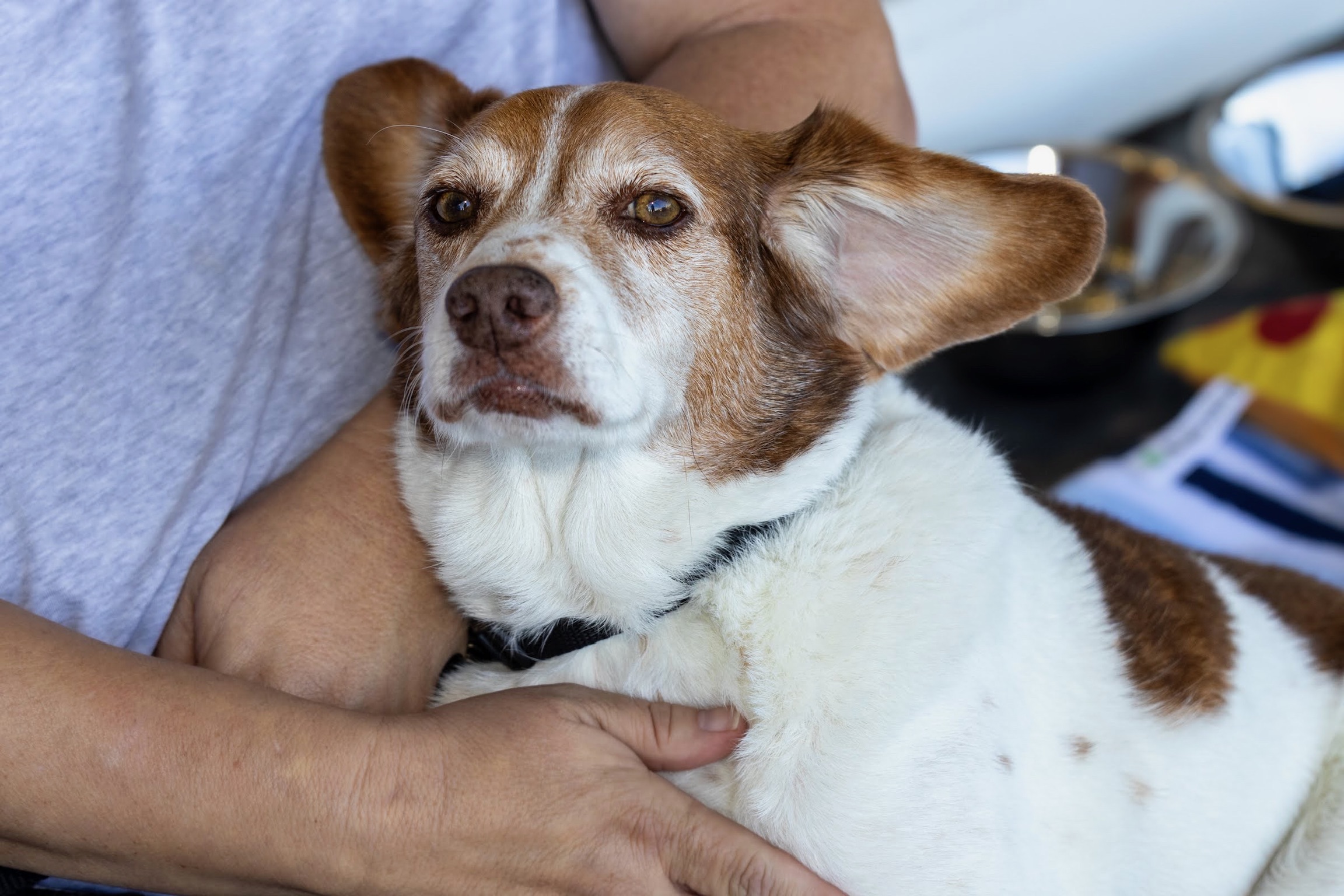 AFEE6816-F8AF-4385-9D5F-86F593BA33FB