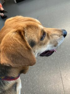 1739E350-5B7A-463E-BBF8-42B63DA0B8B1_1_105_c