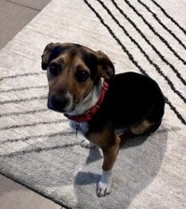 29F84A0A-A05C-4485-A14E-A70228768D70_4_5005_c