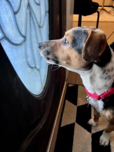 2F15F9D9-9F10-437A-BDFD-622F035DC87C