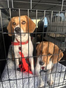 5EFDE5F3-BAB2-4A1A-8603-56F0D07B6456_1_105_c