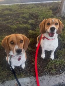 6C1C9ACC-067A-4C1F-A69C-D9EDA1060AB8_1_105_c