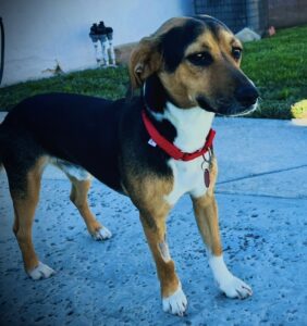 74EE879C-59F0-4812-A522-90768D31F2C6_1_201_a