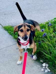 7506D36F-80D3-4B32-B6C2-D08BD1F5ACA3_4_5005_c