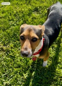 815A557C-9B10-4EA4-97E5-FEB38F3530B8