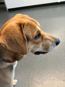 A62E2D85-BE34-4BCB-9A11-D2A1D4BB6DB9_1_105_c