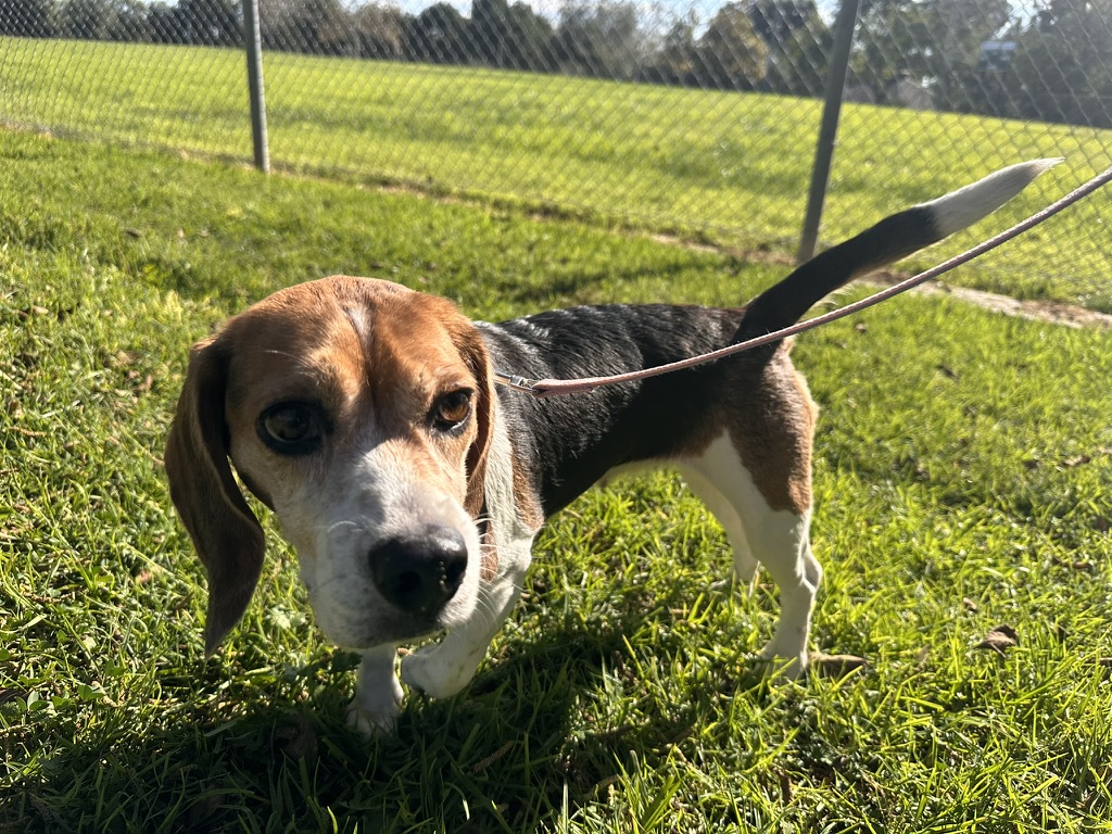 B13BB6B6-8497-4216-98ED-C269888E993A_1_105_c