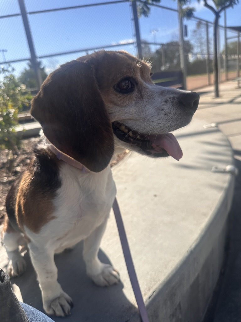 B40D8890-F92C-48C7-96A5-6C4BFA458256_1_105_c