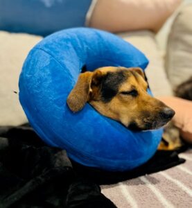 D2EF33CD-B41A-4F94-9A10-7AB97FCCAF21