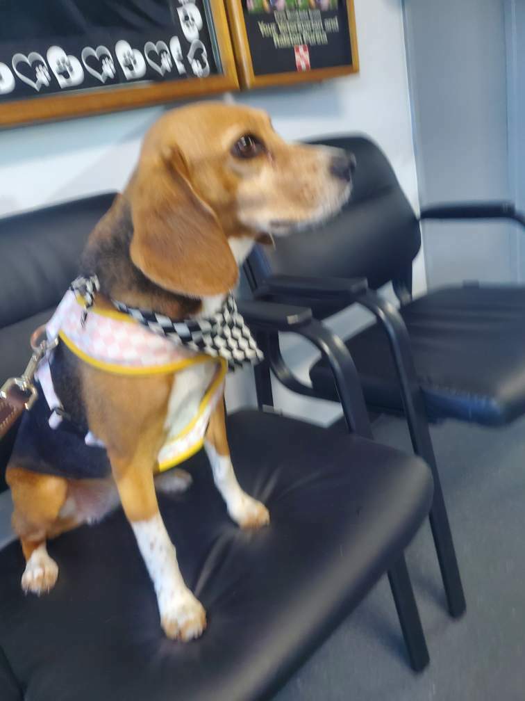 2C41ACC5-8242-46ED-9189-E76D2D95E2B7