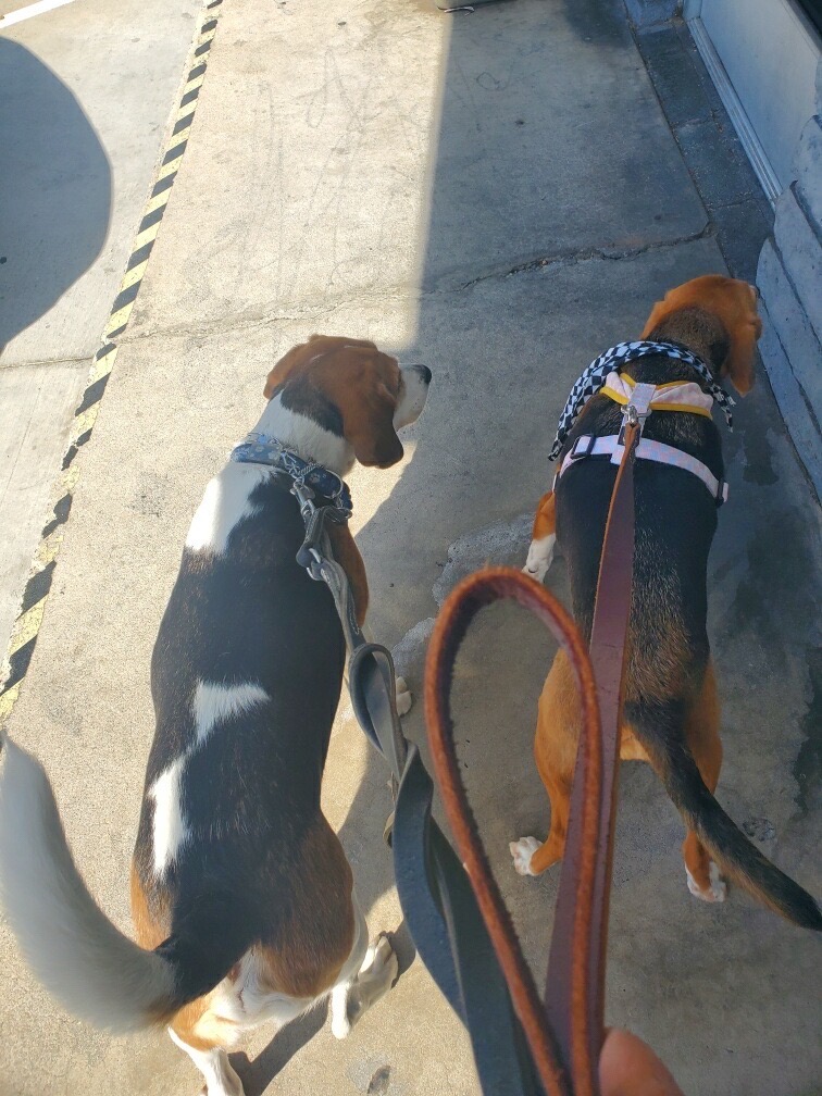 {"data":{"product":"tiktok","editingEffectsList":[],"isSaveLocalReupload":false,"is_default_prop":"MA=="}}