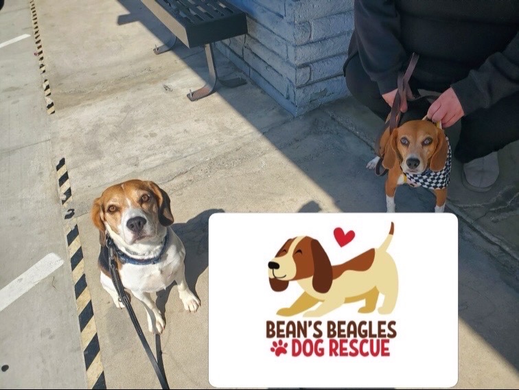 {"data":{"product":"tiktok","editingEffectsList":[],"isSaveLocalReupload":false,"is_default_prop":"MA=="}}